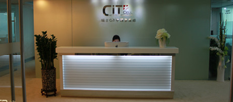 植物賦予辦公室裝修生命，選對植物讓辦公室更有意義