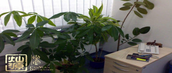 能讓員工感覺(jué)溫馨的辦公室裝修性?xún)r(jià)比裝飾