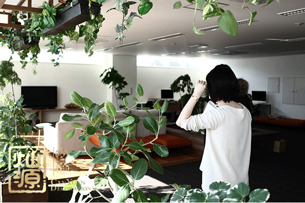 田園風辦公室裝修 田園風辦公室裝修