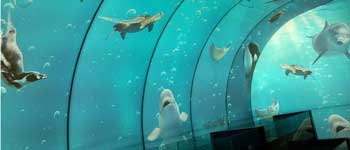 辦公室裝修可以任性到什么程度 你見過海底和空中的辦公室嗎？